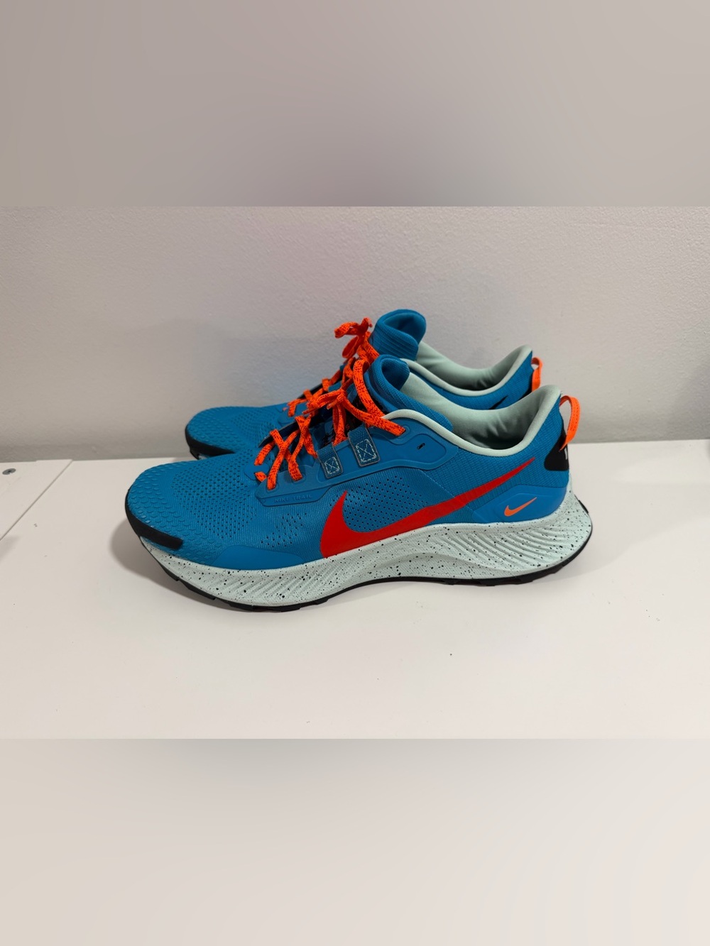 Nike Pegasus trail 3 size 13